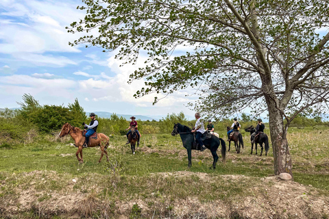 2-hour horse riding tour at Palomino Ranch