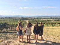 Lastours, Vinyard, Minerve, Canal du Midi from Carcassonne - Housity