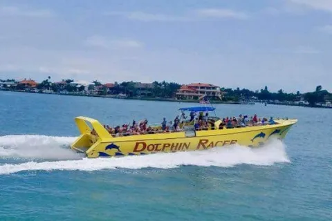 St. Pete Beach: Dolphin Racer Cruise med motorbåt