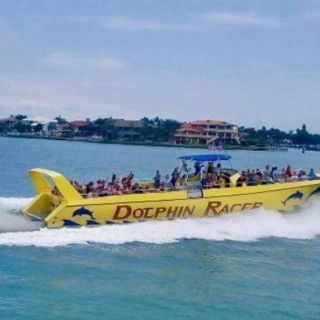 St. Pete Beach: Dolphin Racer Cruise by Speedboat