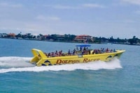 Saint-Pete Beach, Dolphin Racer Cruise by Speedboat - Housity