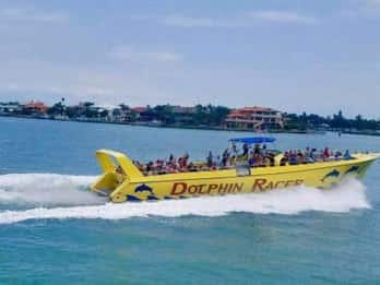 St. Pete Beach: Dolphin Racer Cruise by Speedboat