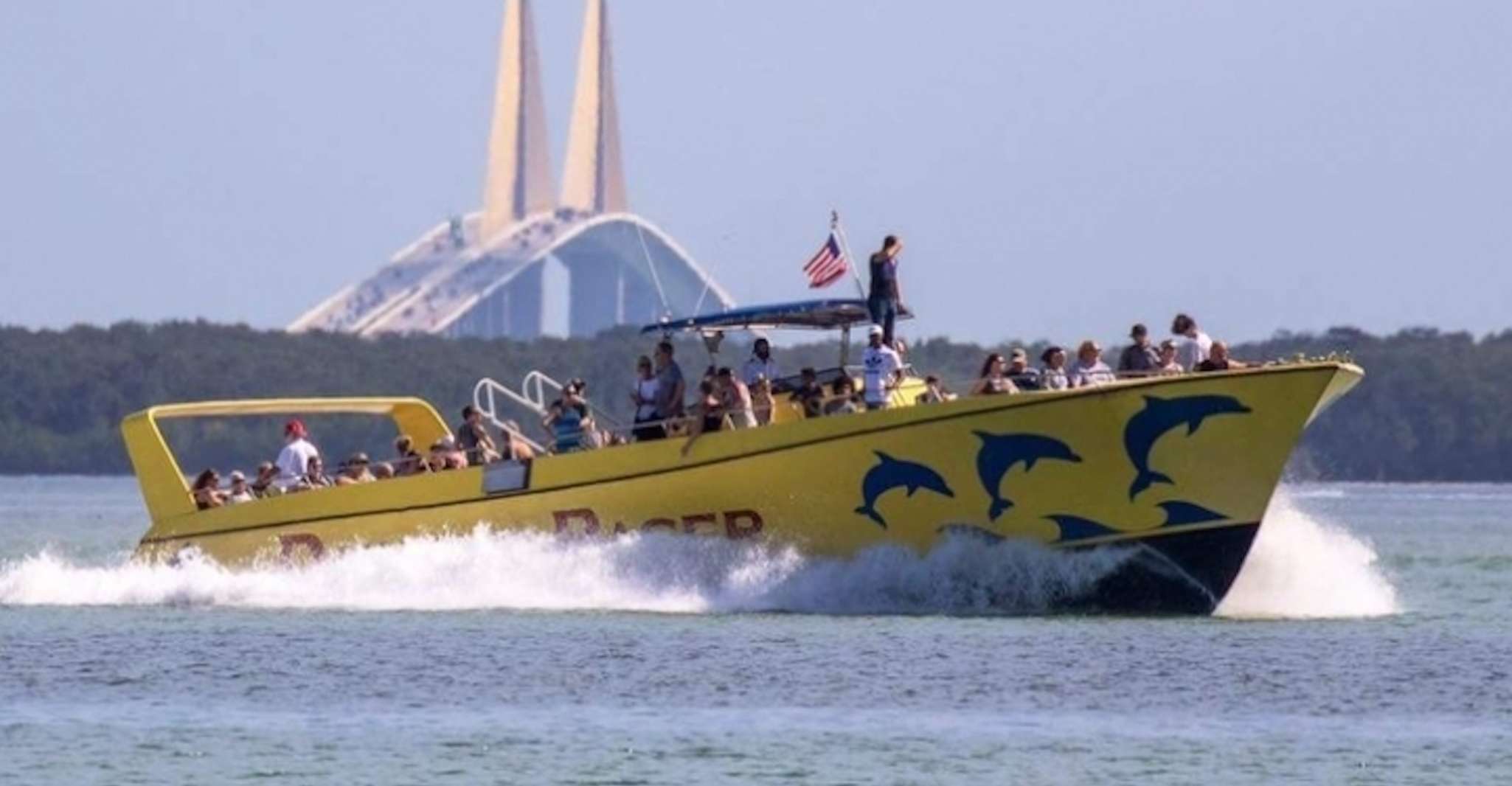 St. Pete Beach, Dolphin Racer Cruise by Speedboat - Housity