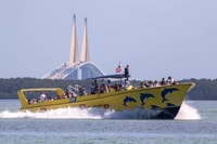 Saint-Pete Beach, Dolphin Racer Cruise by Speedboat - Housity