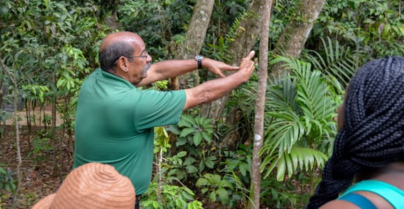 Puerto Rico: El Yunque Sightseeing Half-Day Tour w/Transfer