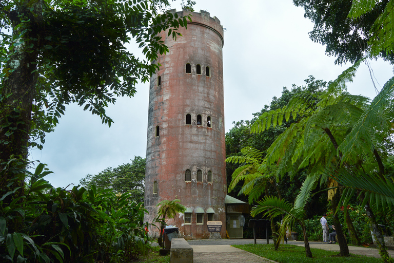 El Yunque : expérience de la forêt tropicaleExpérience dans la forêt tropicale d'El Yunque