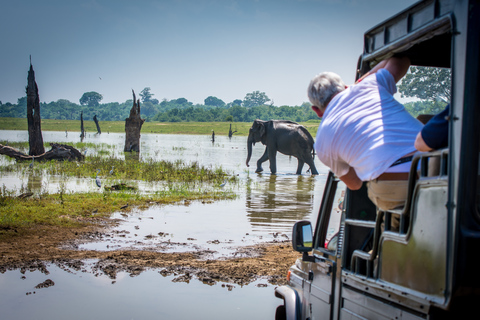 Sri Lanka: tour di più giorni con più città da visitareTour multi-città dello Sri Lanka di 5 giorni