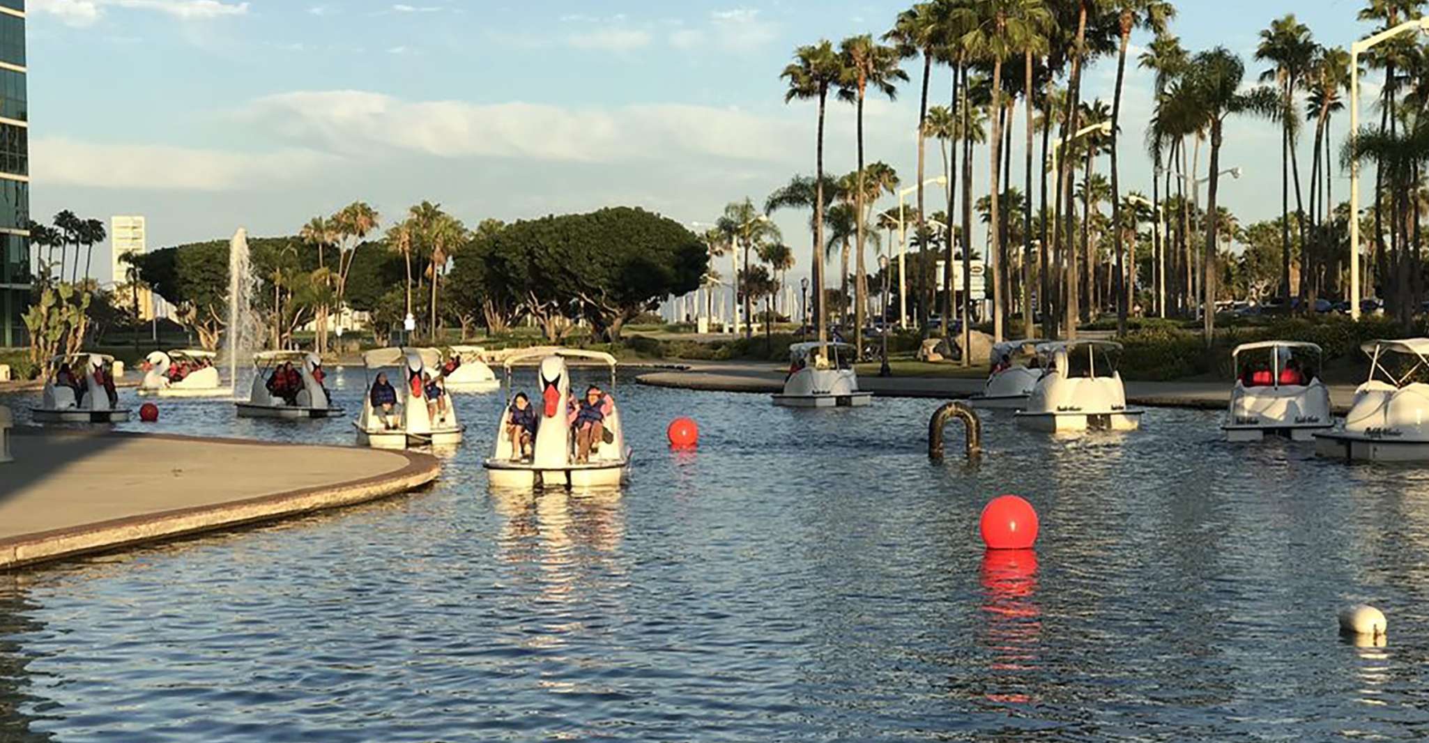 Long Beach, Swan Boat Rental at Rainbow Lagoon - Housity