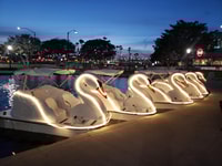 Long Beach, Schwanenbootverleih in Rainbow Lagoon - Housity