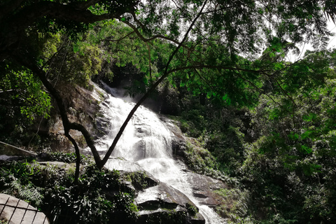 Rio de Janeiro: Vandring i Tijuca-skogens själarnas vattenfallRio de Janeiro: Tijuca Forest Waterfall of Souls vandring