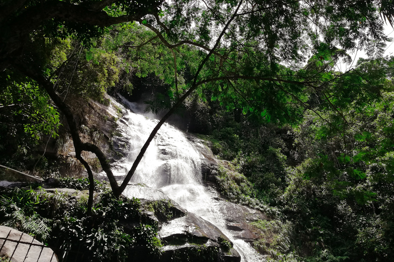 Rio de Janeiro: Vandring i Tijuca-skogens själarnas vattenfallRio de Janeiro: Tijuca Forest Waterfall of Souls vandring