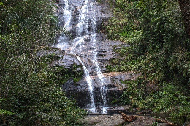 Visit Rio de Janeiro: Tijuca Forest Waterfall of Souls Hike in Rio de Janeiro