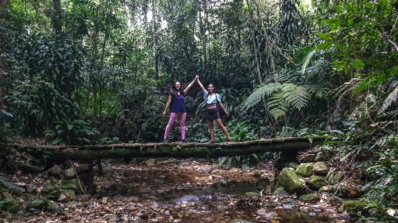 tijuca forest hike