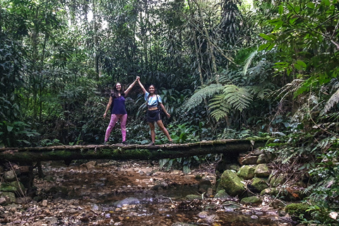 Rio de Janeiro: Escursione alla Cascata delle Anime della Foresta TijucaRio de Janeiro: escursione alla cascata delle anime nella foresta di Tijuca