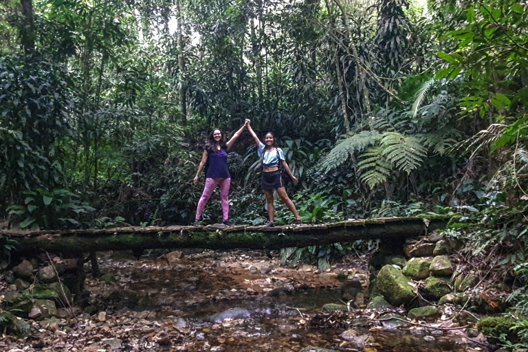 Rio de Janeiro: Wanderung zum Wasserfall der Seelen im Tijuca-Wald