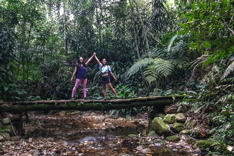 Rio de Janeiro: Escursione alla Cascata delle Anime della Foresta TijucaRio de Janeiro: escursione alla cascata delle anime nella foresta di Tijuca