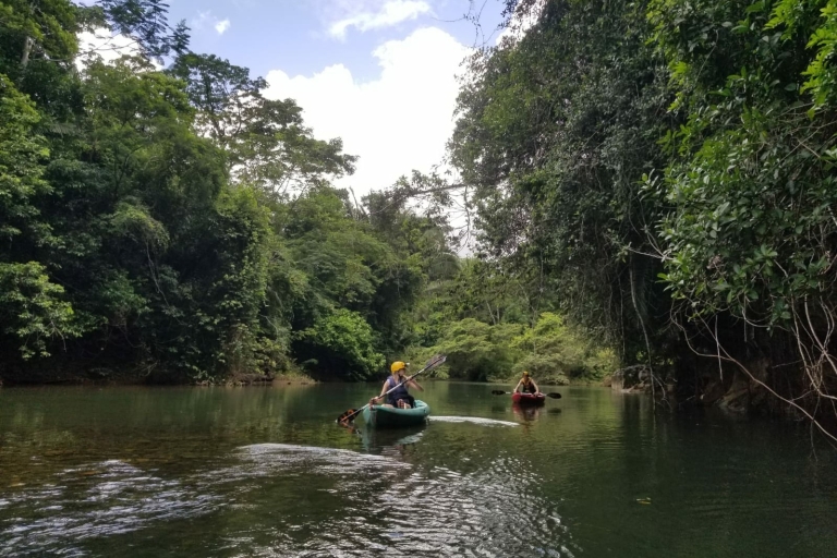 Cayo Dristrict: tirolesa en la jungla y kayak en cuevas clandestinas