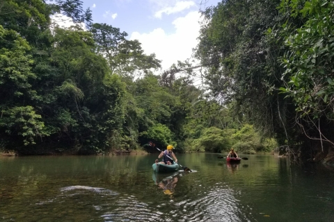 District de Cayo : tyrolienne dans la jungle et kayak dans les grottes clandestines