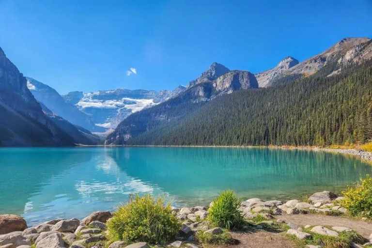 Banff: Best of Banff- Signature Express Tour (2.5 hours)