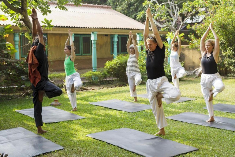 Sri Lanka: 4-Day Ayurveda and Wellness Retreat with Meals