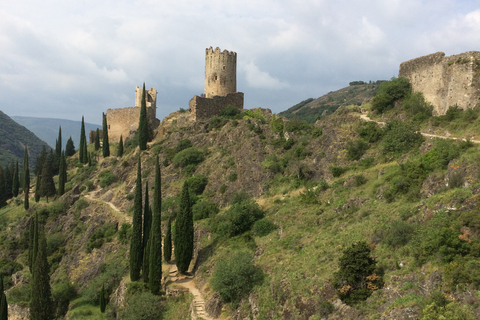 From Carcassonne: Lastours Castles and City Guided Tour Lastours Castles and Cité de Carcassonne