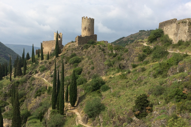 Desde Carcasona: Visita guiada de los Castillos y la Ciudad de LastoursCastillos de Lastours y Cité de Carcassonne