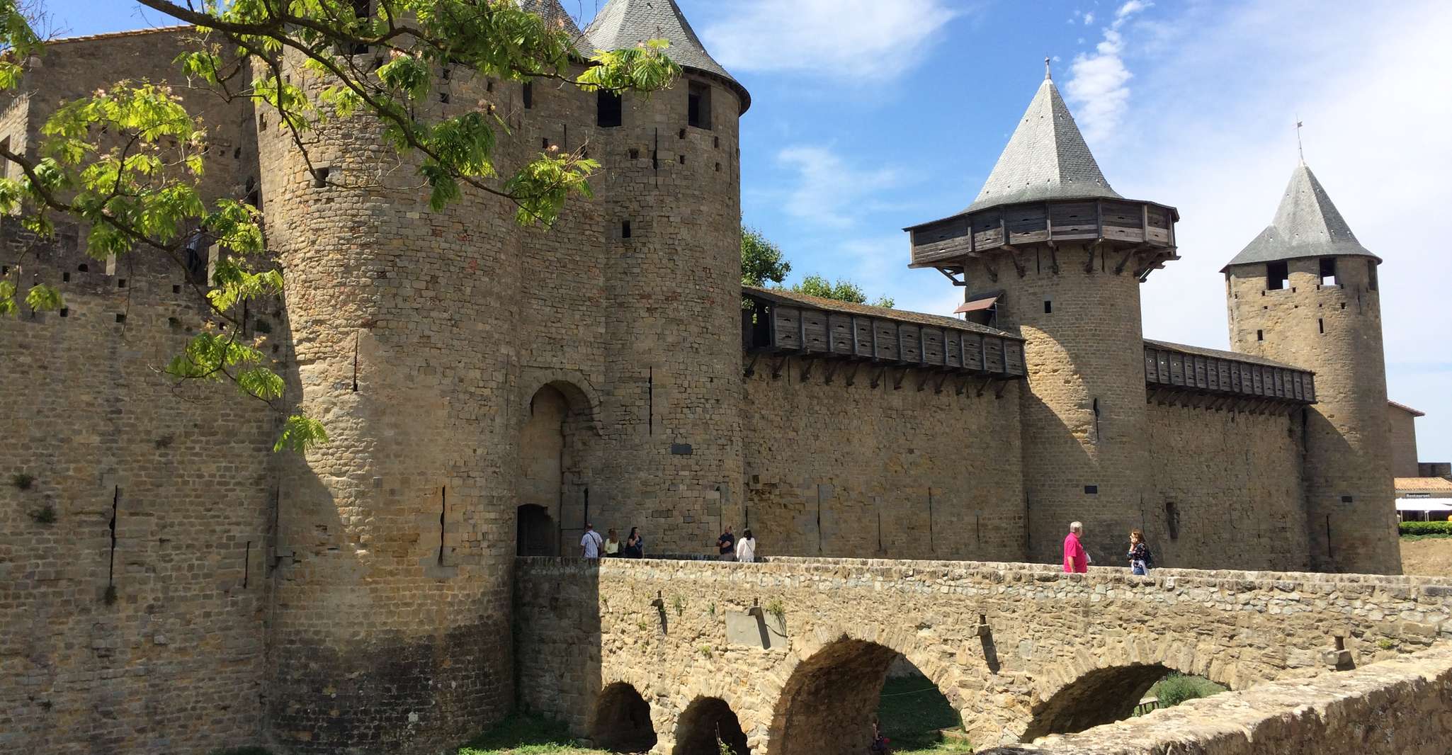 From Carcassonne,Lastours Castles & Carcassonne Guided Tour - Housity