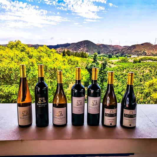 De Lagos: excursão de degustação de vinho de 4 horas para grupos pequenos