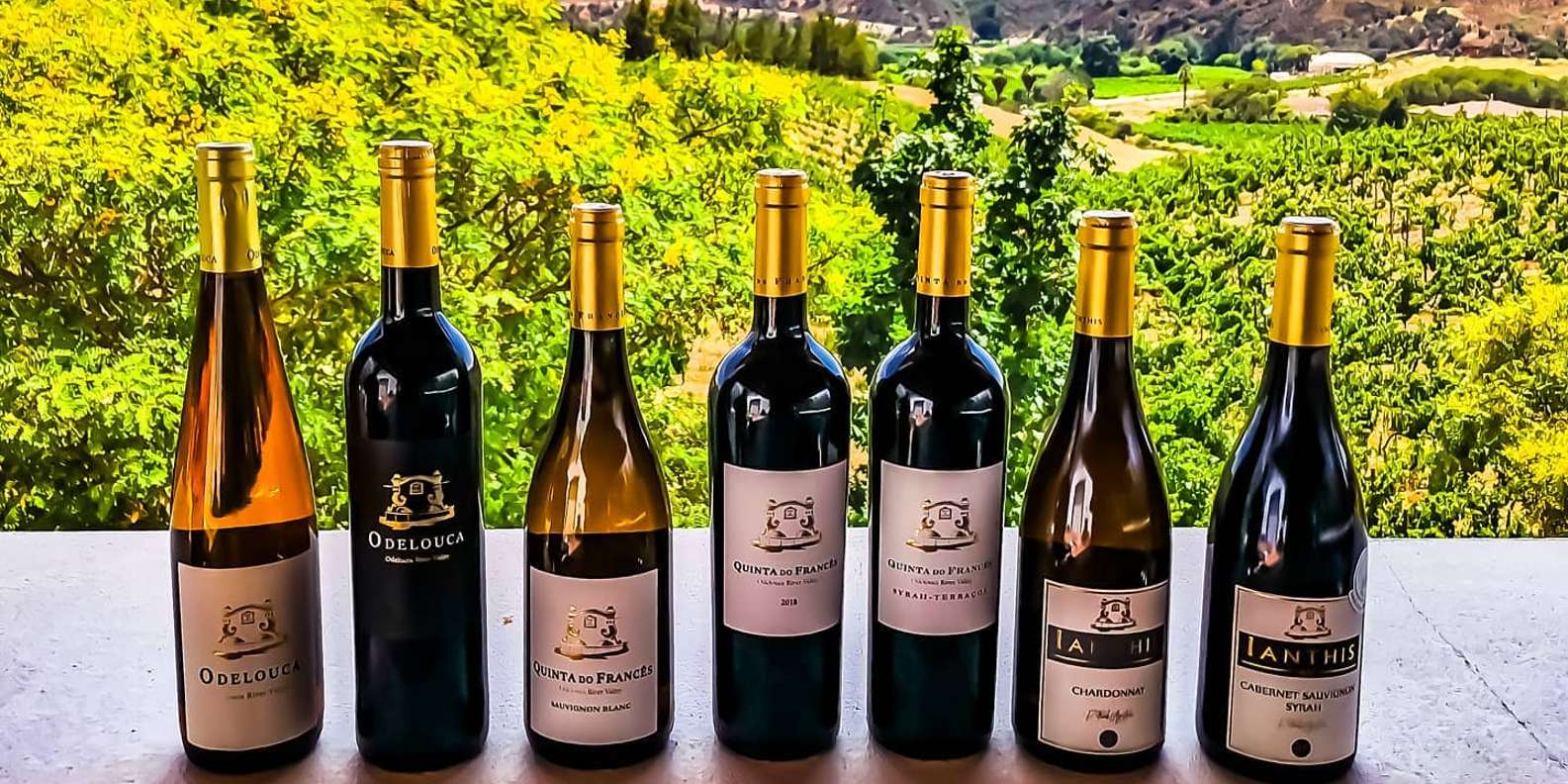 From Lagos: Small-Group 4-Hour Wine Tasting Tour