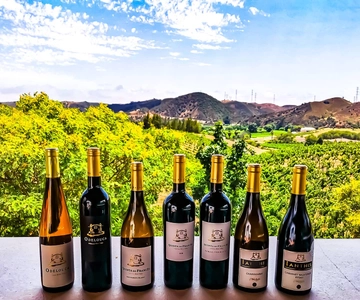 From Lagos: Small-Group 4-Hour Wine Tasting Tour