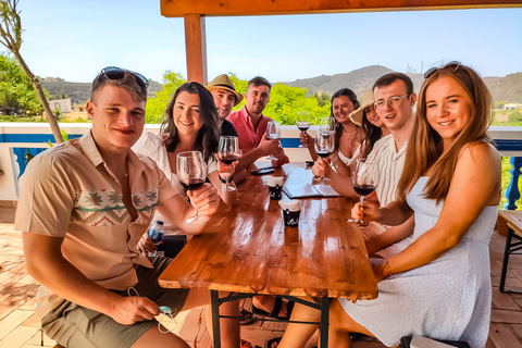 Desde Lagos: tour de cata de vinos de 4 horas para grupos pequeños