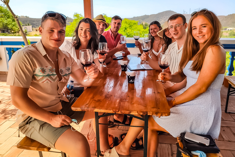 Desde Lagos: tour de cata de vinos de 4 horas para grupos pequeños