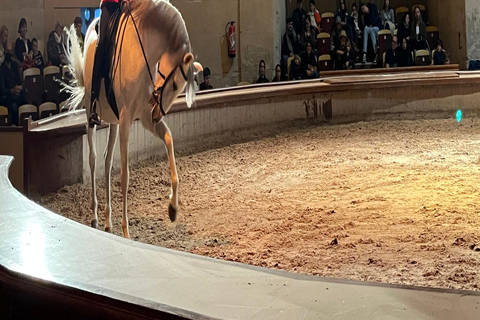 Great Stables of Prince de Conde & Palace Chantilly Private tour