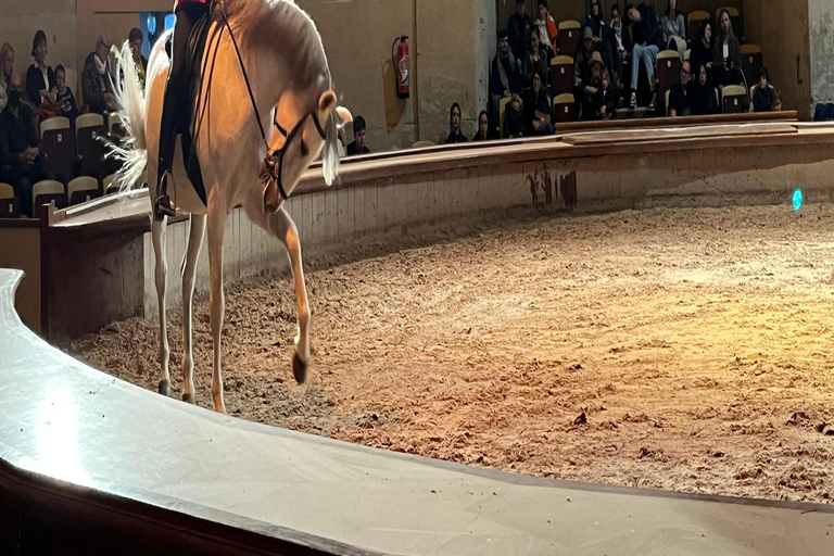 Great Stables of Prince de Conde & Palace Chantilly Private tour