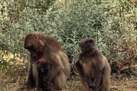 Addis Ababa: Omo Valley 6-Day Tour with Domestic Flights