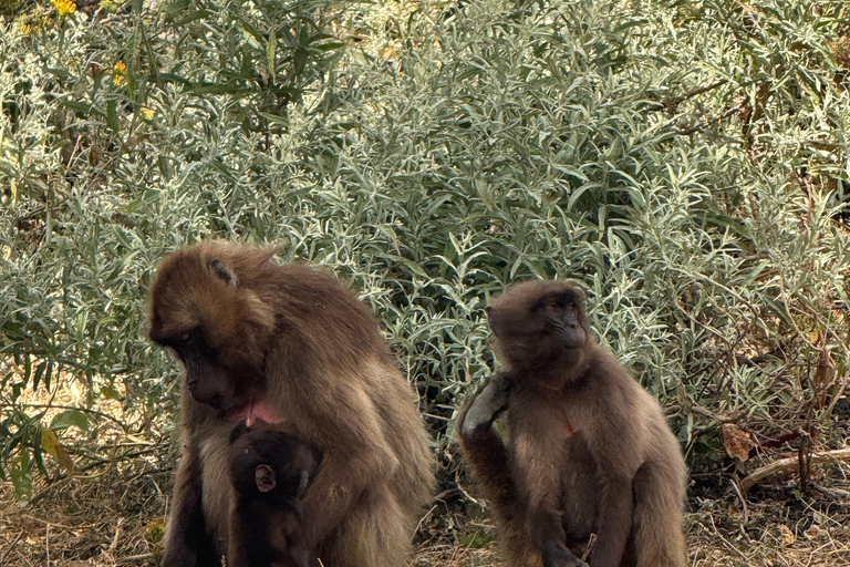 Addis Ababa: Omo Valley 6-Day Tour with Domestic Flights