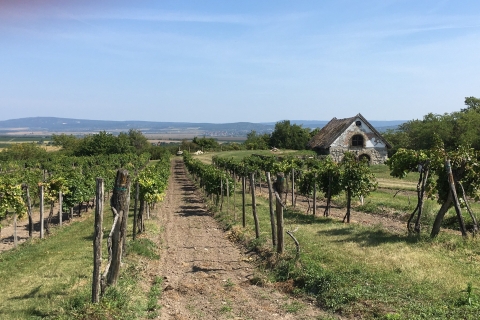 Ab Budapest: Halbtägige Weintour nach Etyek