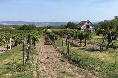 From Budapest: Etyek Half-Day Wine Tour