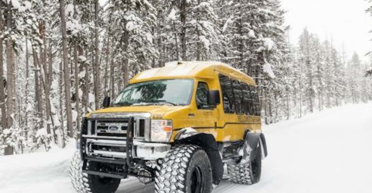 From Jackson: 4-Day Grand Teton and Yellowstone Winter Tour