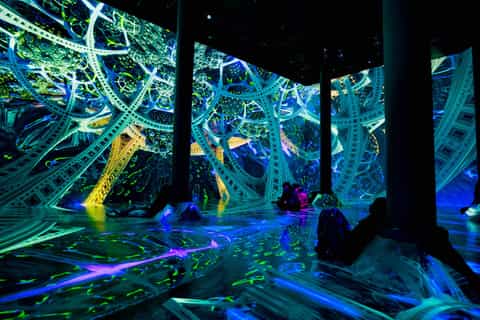 NYC: ARTECHOUSE Immersive Art Experience Entrance Ticket