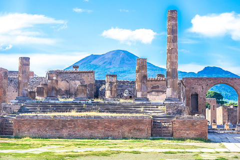 From Sorrento: Pompei Private Tour with Winery