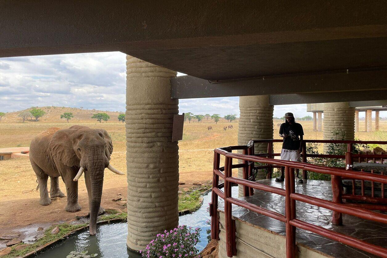 3-day Amboseli & SaltLick Safar: Kilimanjaro View & Treetop