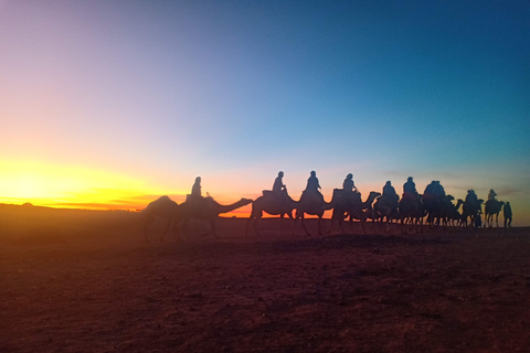 Van Marrakech: kameelrit bij zonsondergang in de Agafay-woestijn