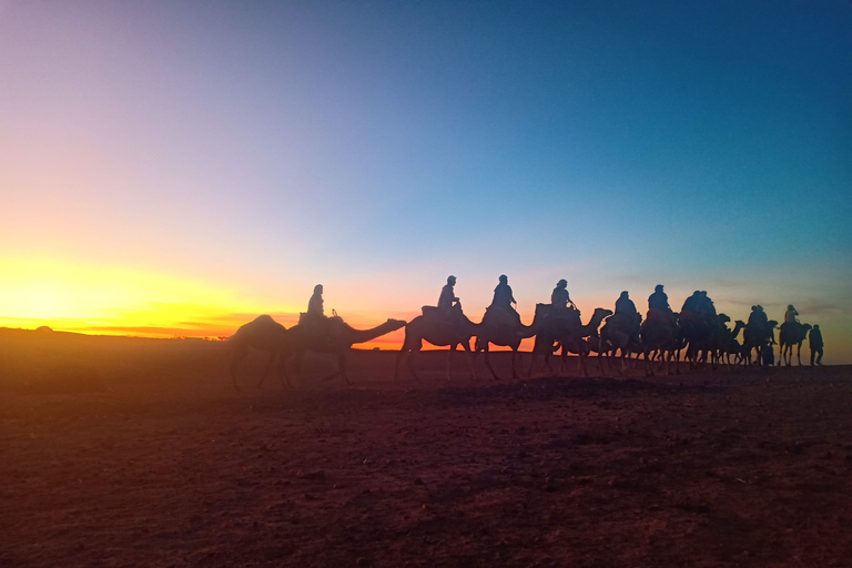 Da Marrakech: giro in cammello al tramonto nel deserto di Agafay