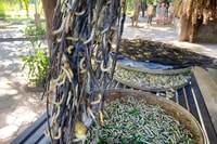 Half Day Silk Island Tour con guía de habla inglesa - Housity