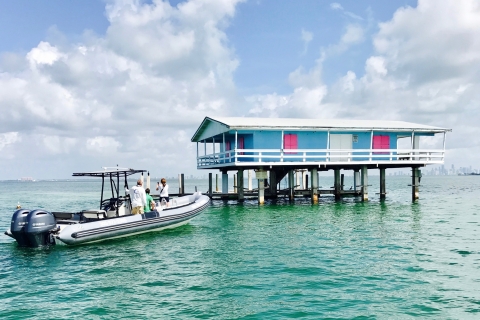 Miami: Biscayne Bay Sightseeing-boottocht met kleine groepenGedeelde tour met kleine groepen