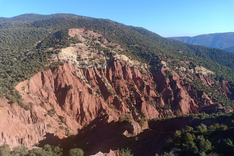 Ait Benhaddou en Telouet Kasbahs: dagtocht vanuit Marrakech