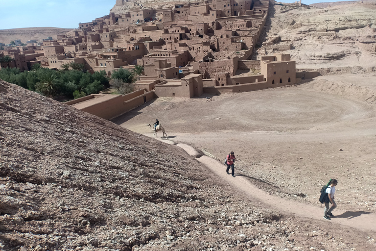 Ait Benhaddou and Telouet Kasbahs: Day Trip from Marrakech