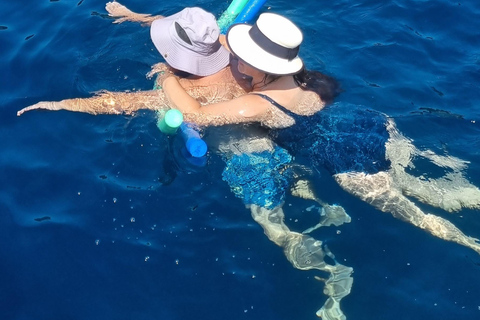 Villeneuve-Loubet: Small group catamaran day cruise Villeneuve-Loubet: Catamaran sunset cruise for small groups