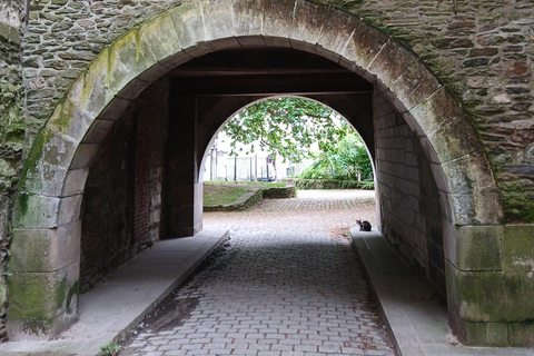 Nantes: 90-minute tour of St. Peter and St. Paul Cathedral with a professional guide